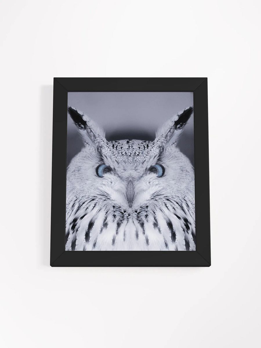 Symmetrical Owl Wisdom Framed Poster product image (10)