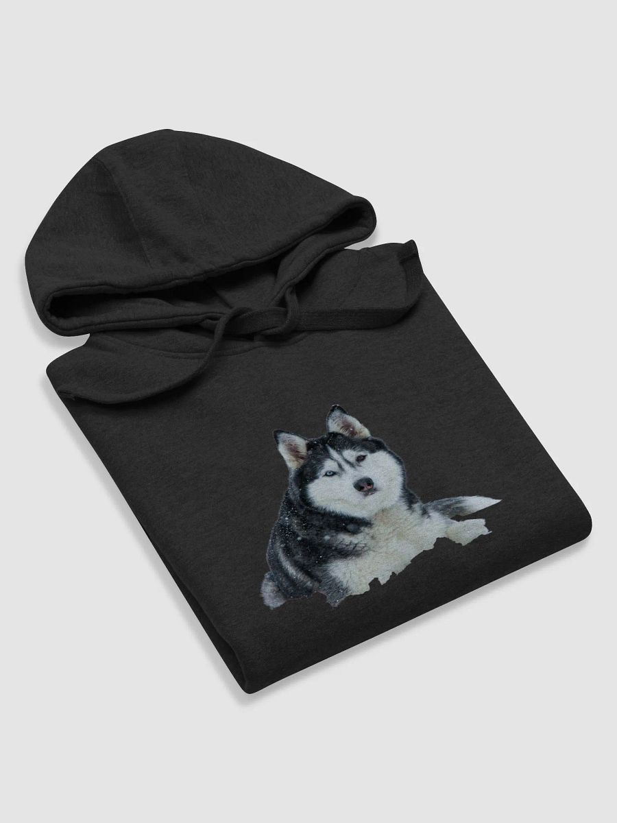 Majestic Siberian Husky with two different colored eyes in the snow. product image (6)