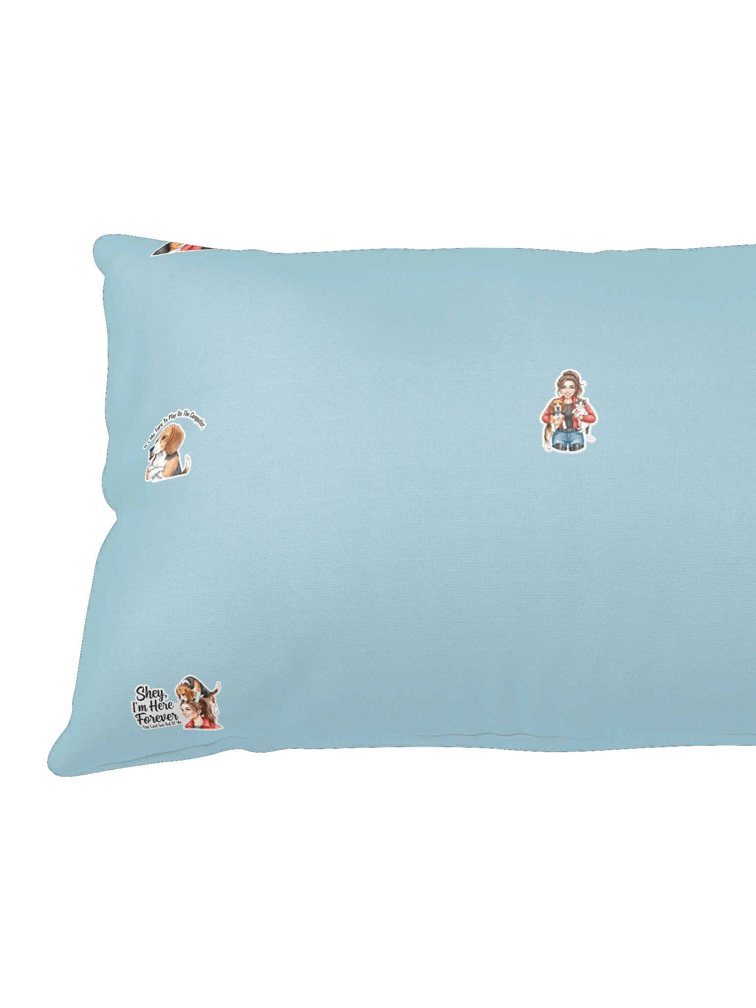 Dex and Co. pillow product image (9)