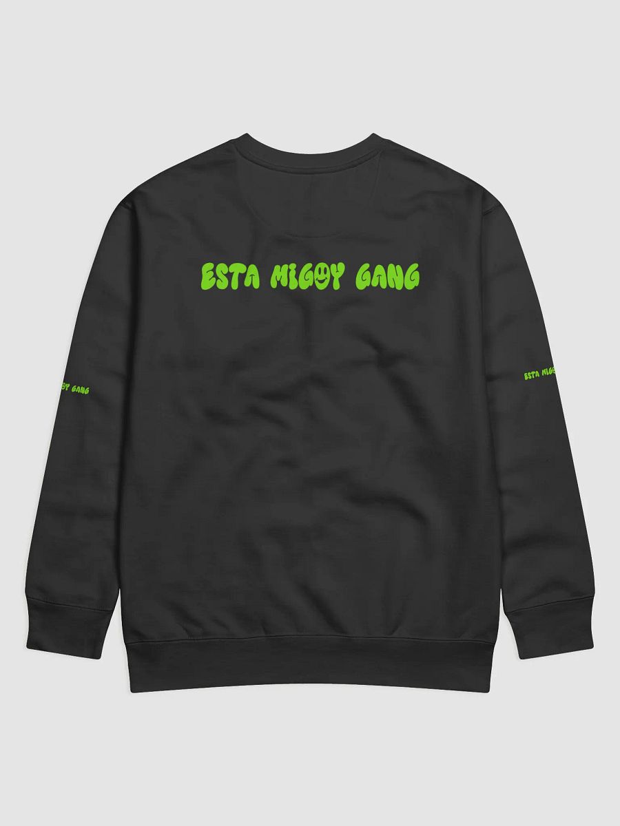 Esta Migoy Sweater product image (2)