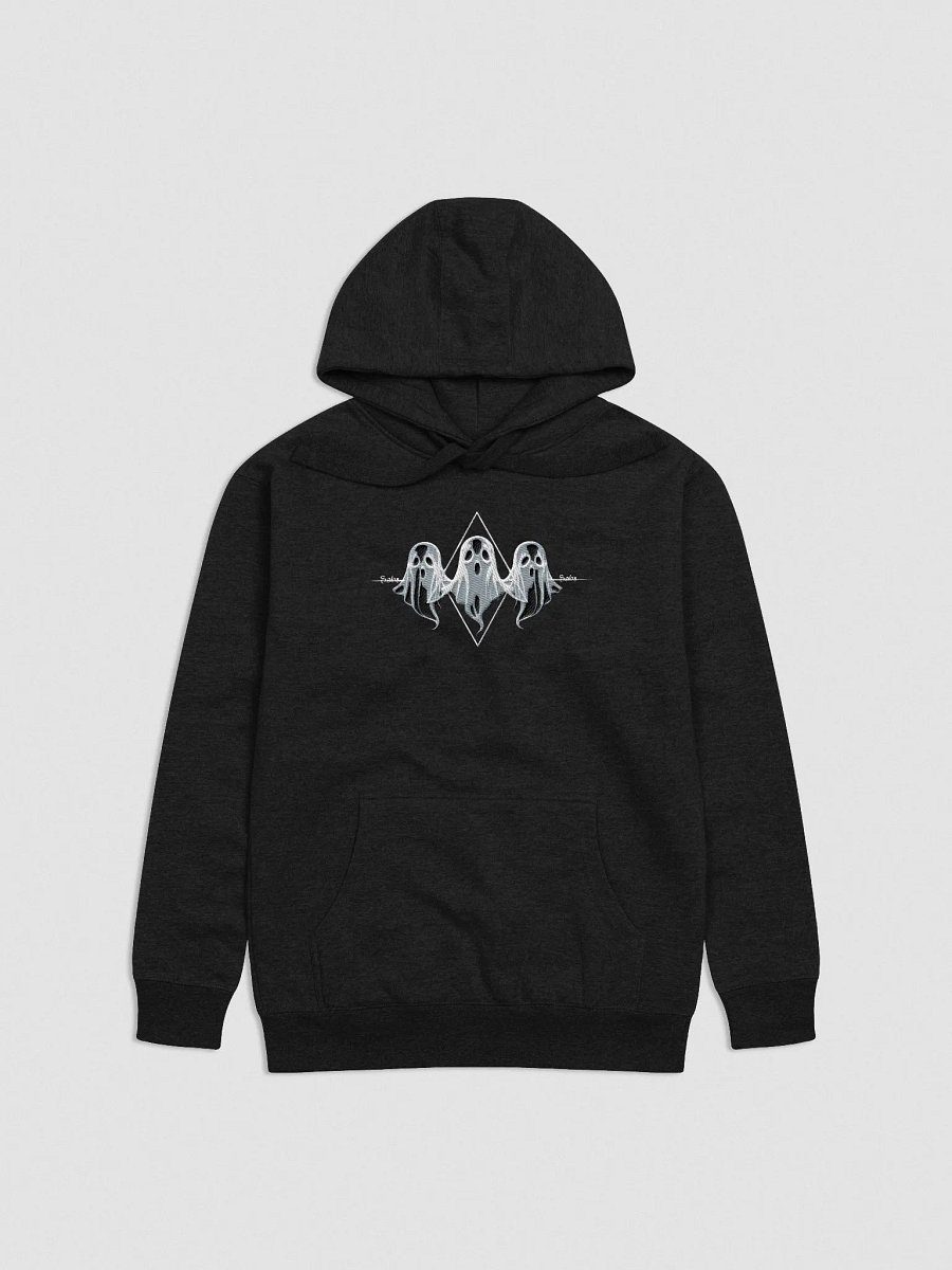 Subtle Sabs Embroidered Hoodie product image (1)