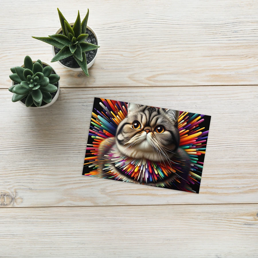 Greeting Card: Exotic Shorthair product image (25)