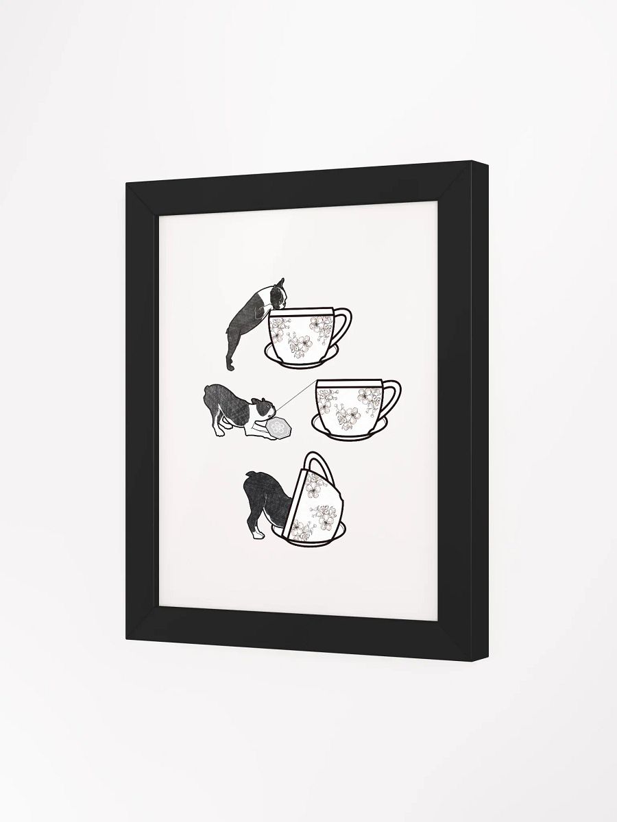 curiosity product image (27)