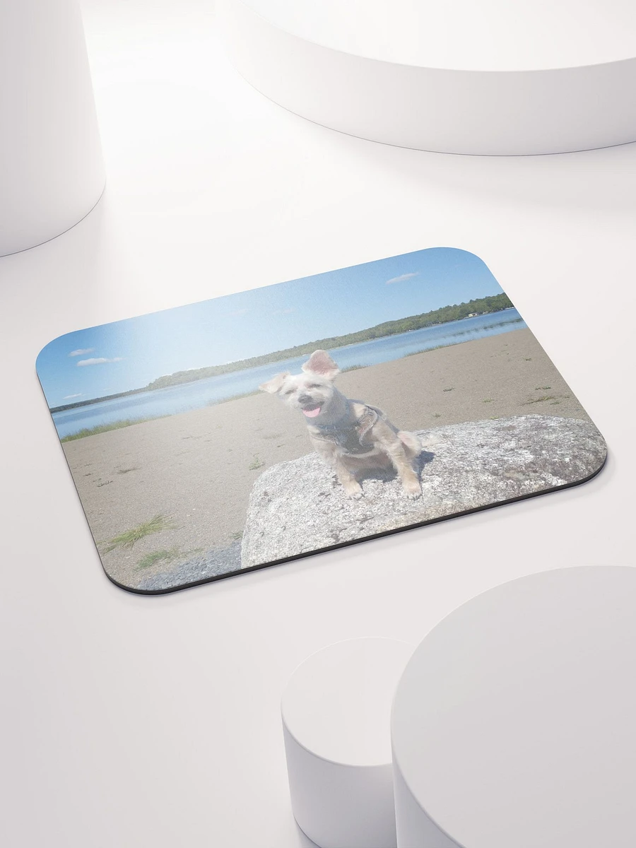 Mozzie At The Lake Mouse Pad product image (5)