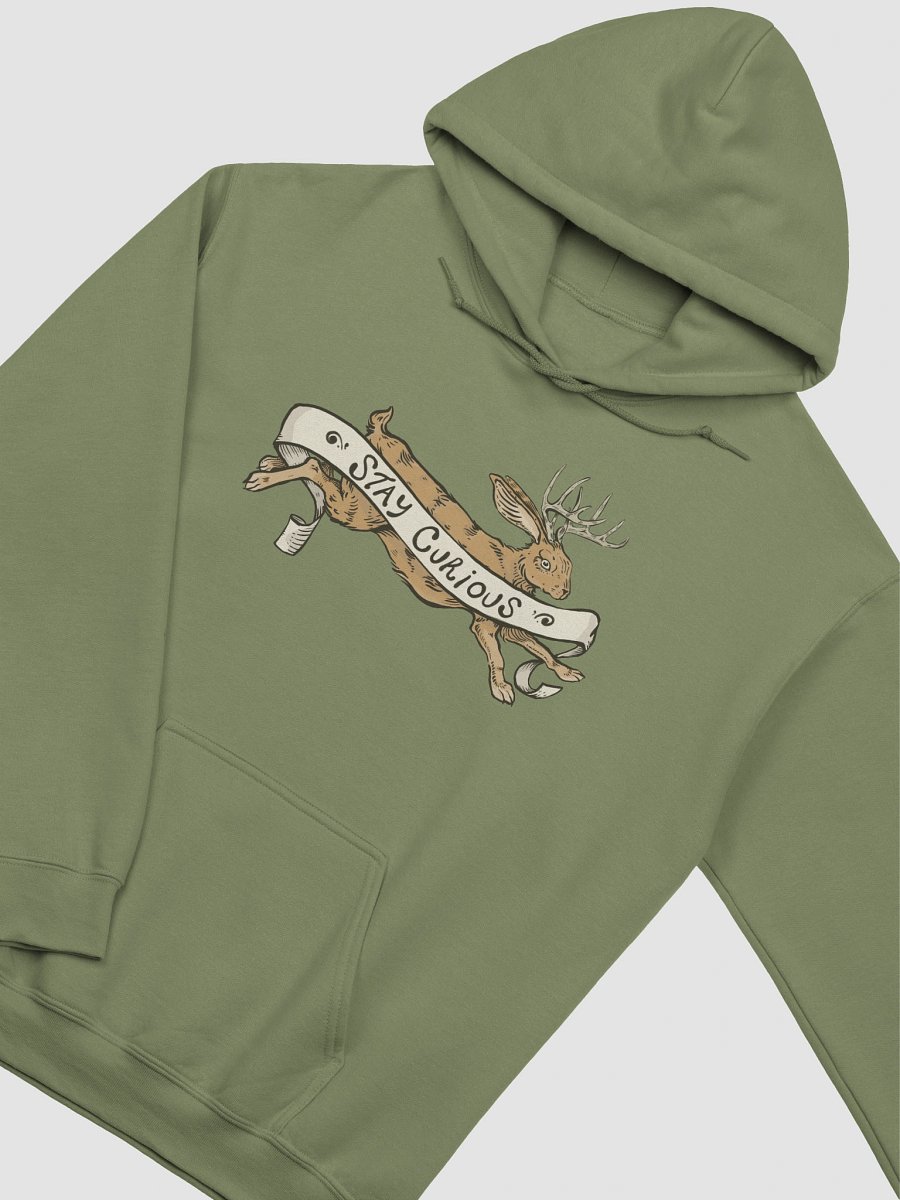 Stay Curious HOODIE product image (8)