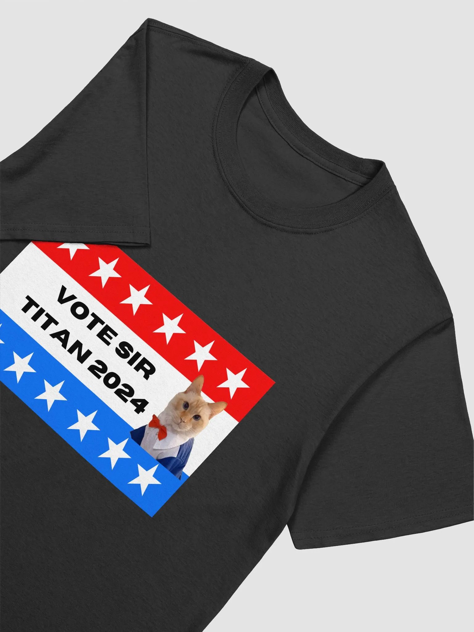 Vote Sir Titan T-Shirt product image (11)