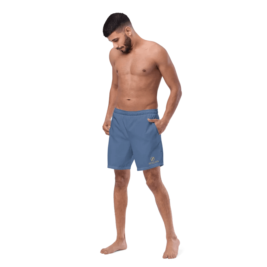Avalon Men's Logo Print Swim Trunks product image (8)