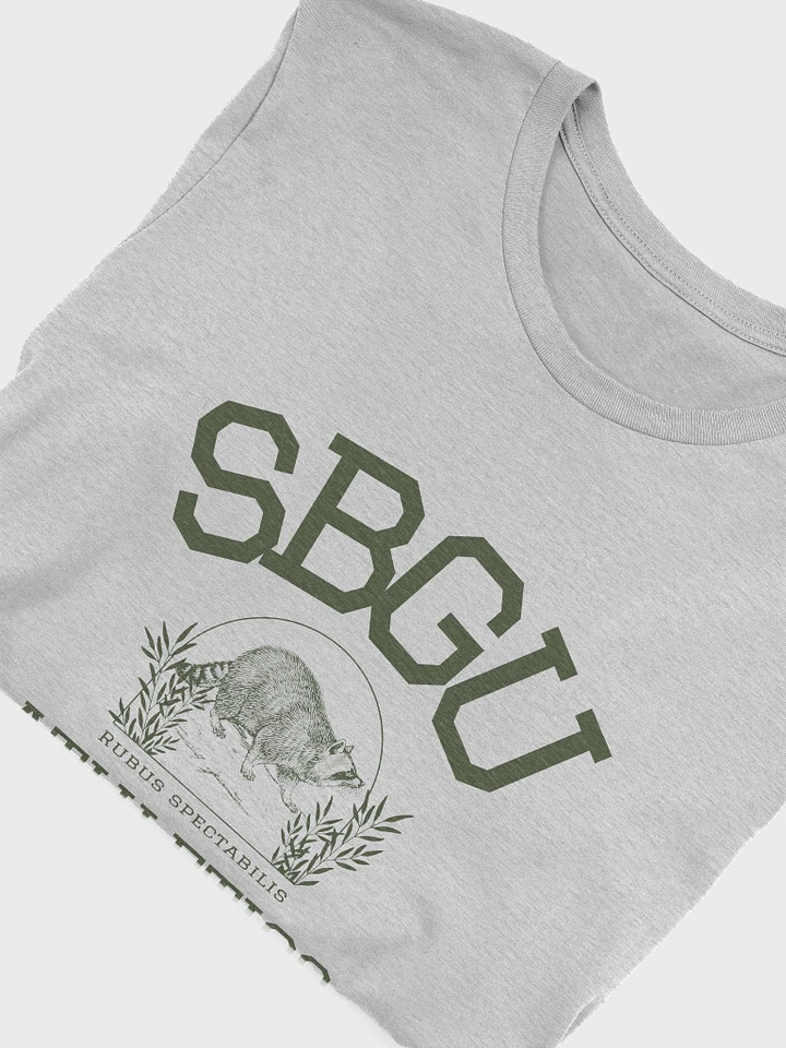 SBGU Athletics but its a tee product image (1)