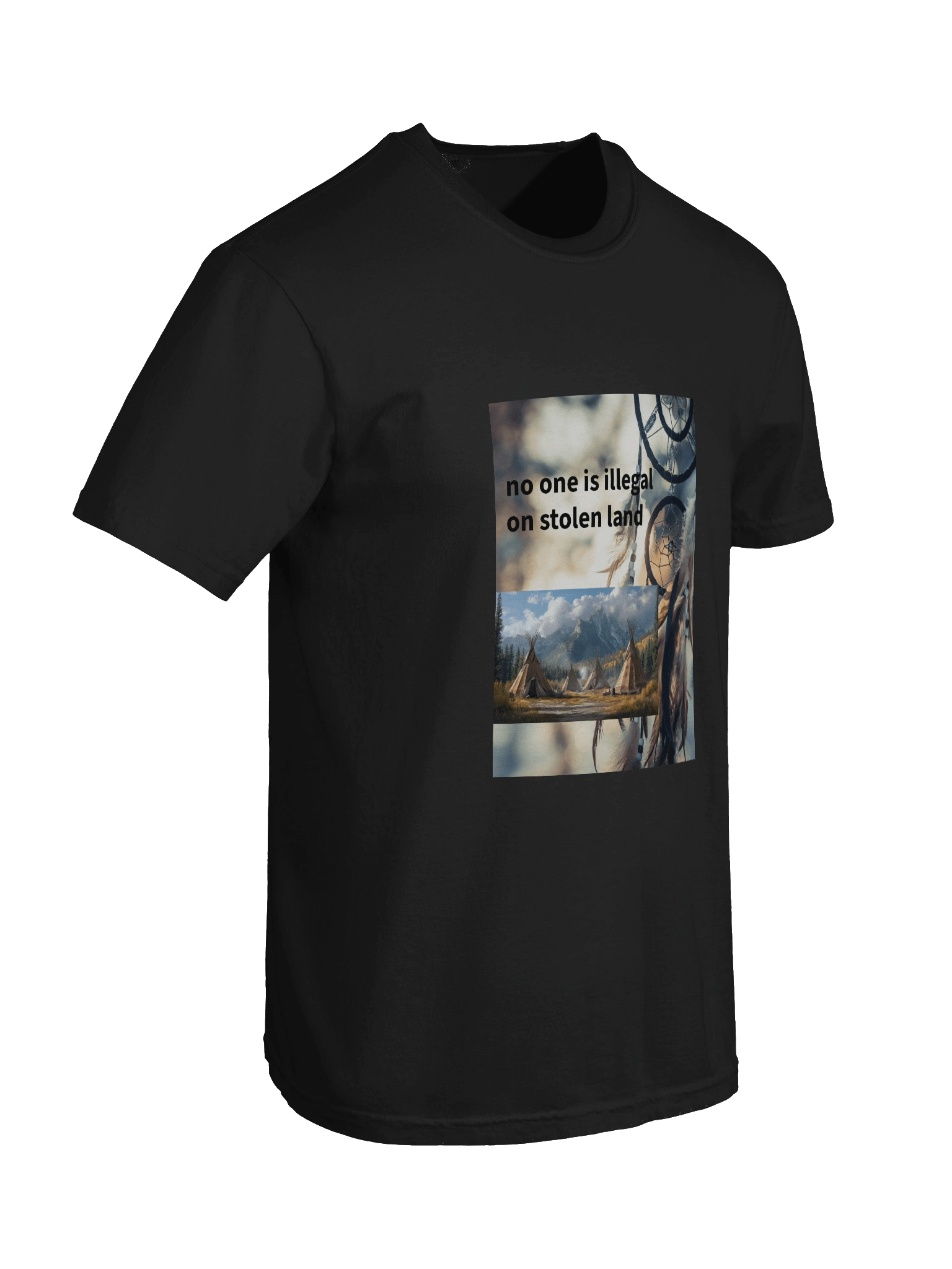 stolen land product image (74)