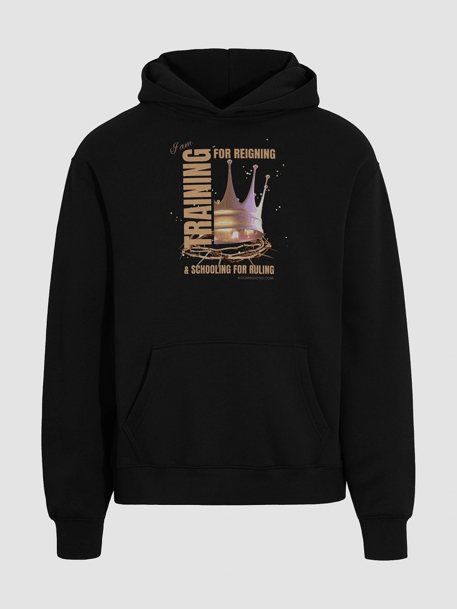 Training for Reigning Unisex Premium Oversized Hoodie product image (3)