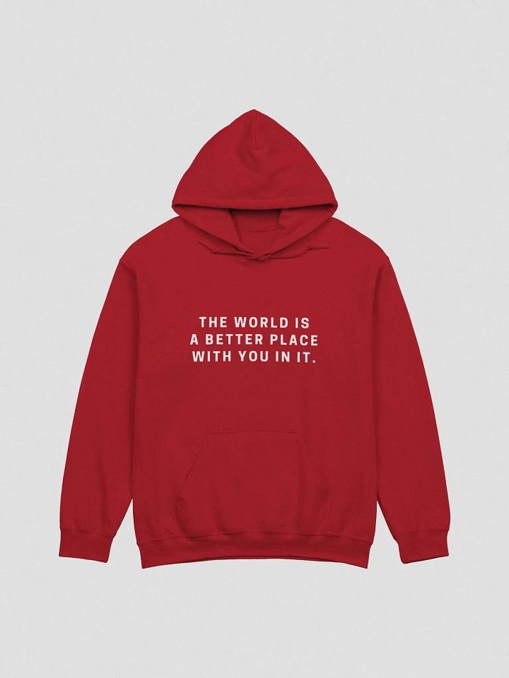 A BETTER PLACE HOODIE - (UNISEX) product image (5)
