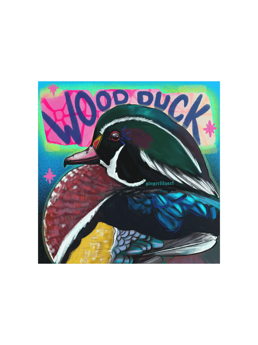 wood duck print product image (1)