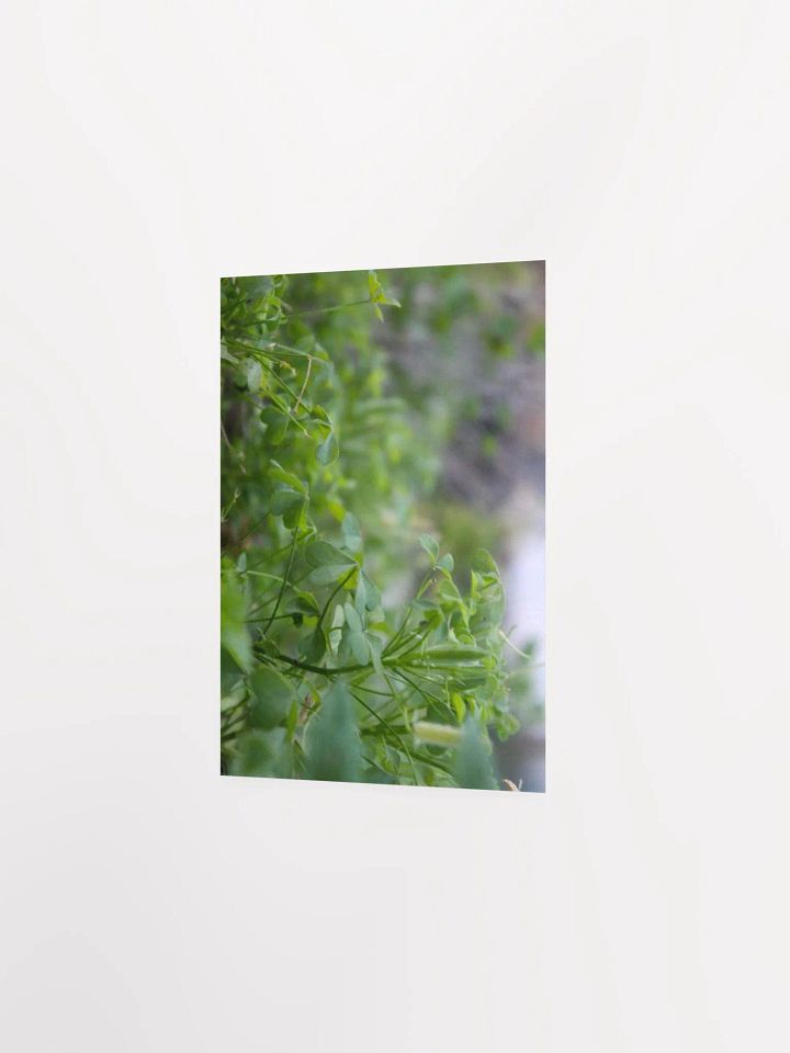 A Study in Flowers 7 product image (13)