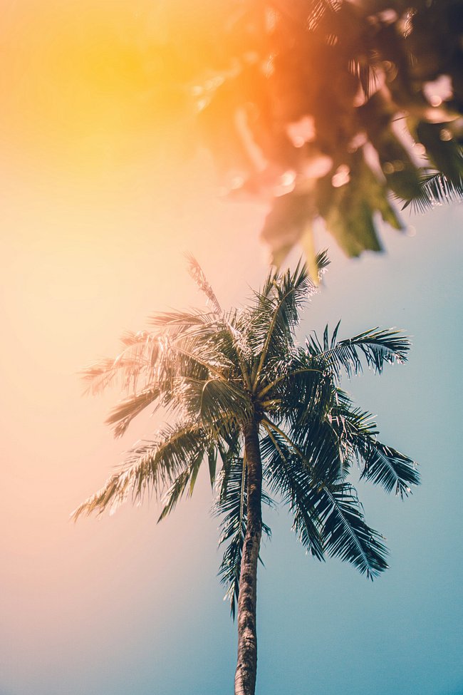 Summer Drop