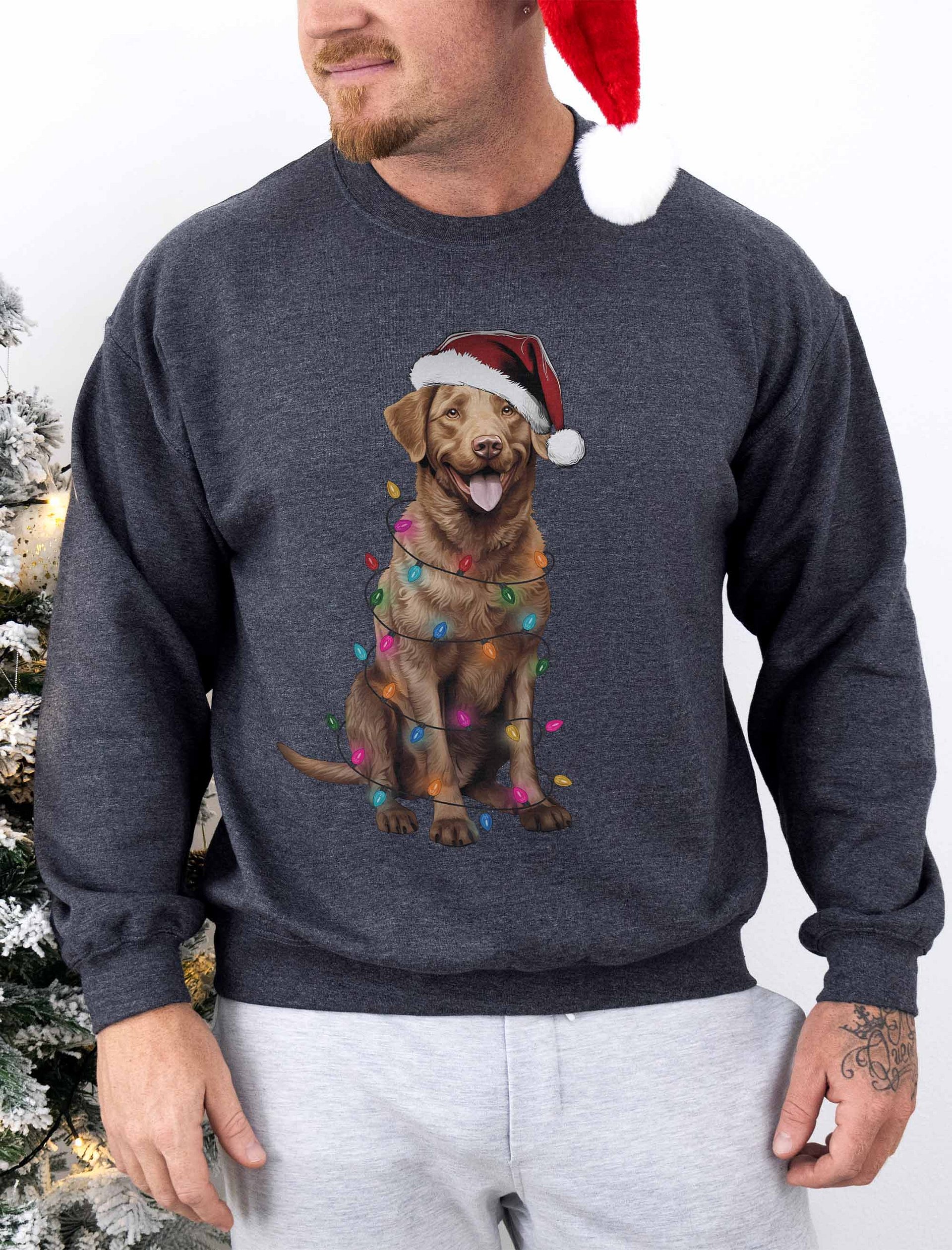 Funny Chesapeake Bay Retriever Christmas Sweatshirt for Chesapeake Bay Retriever Paw-rents product image (1)