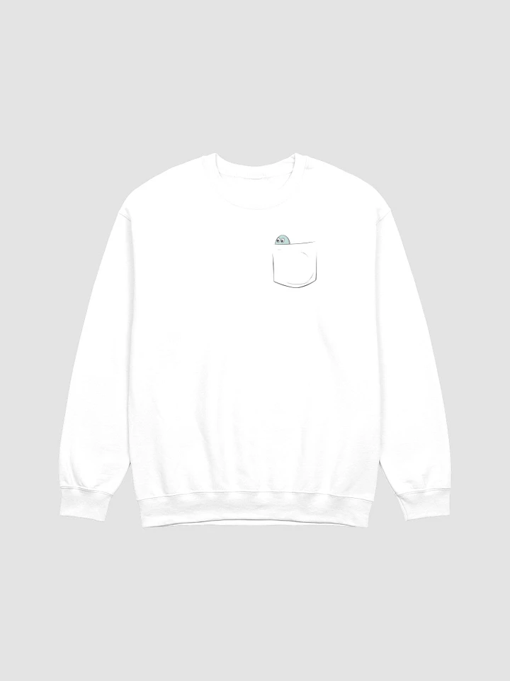 Pocket Saurus Sweater product image (2)