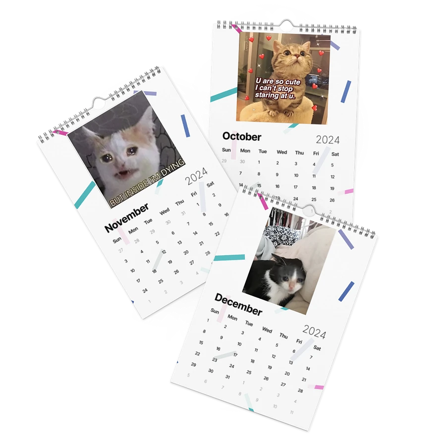 Wall Calendar (2024): Meme Cats product image (17)