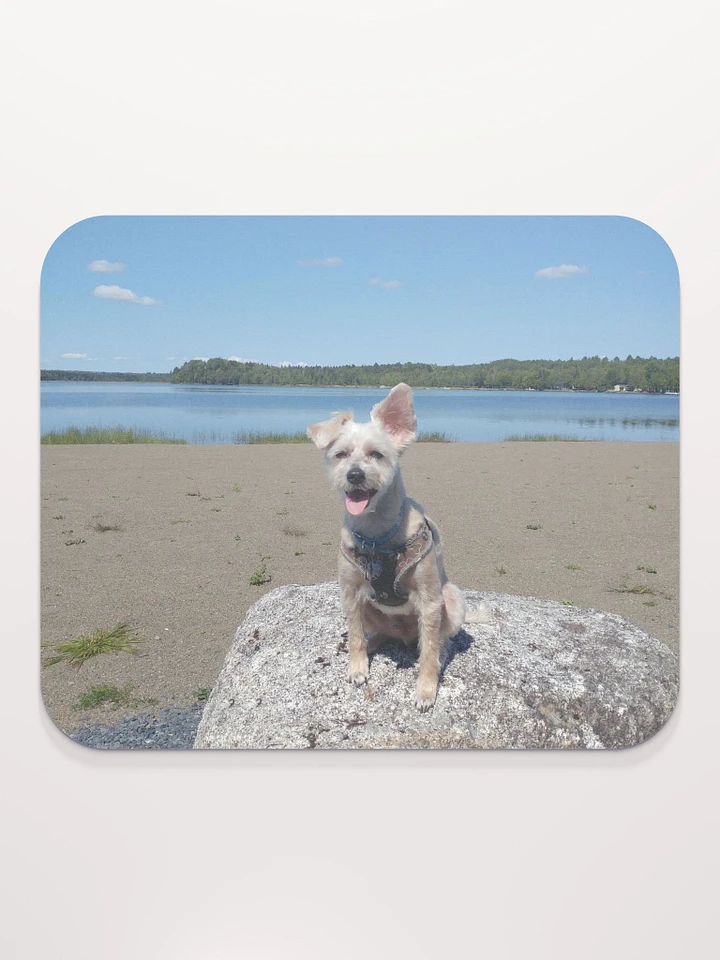 Mozzie At The Lake Mouse Pad product image (1)