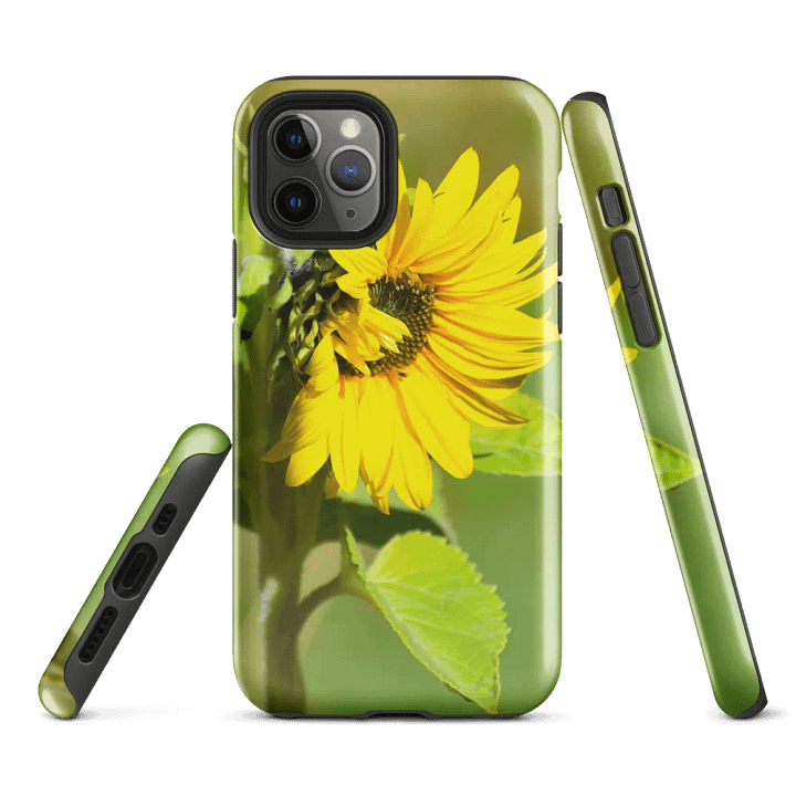 Tough Case iPhone®: Sunflower in early autumn product image (1)