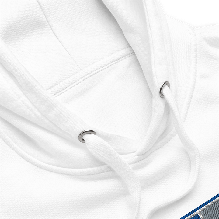 Core 313 Hoodie #2 product image (2)