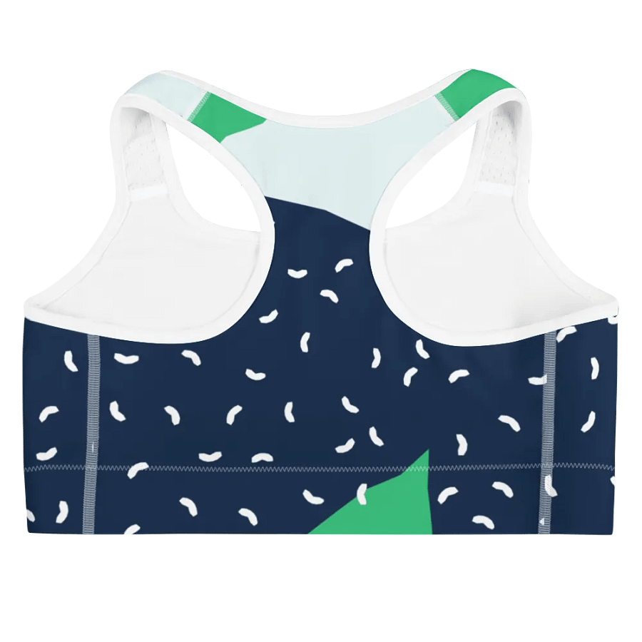 Tizzy Sports Bra product image (11)