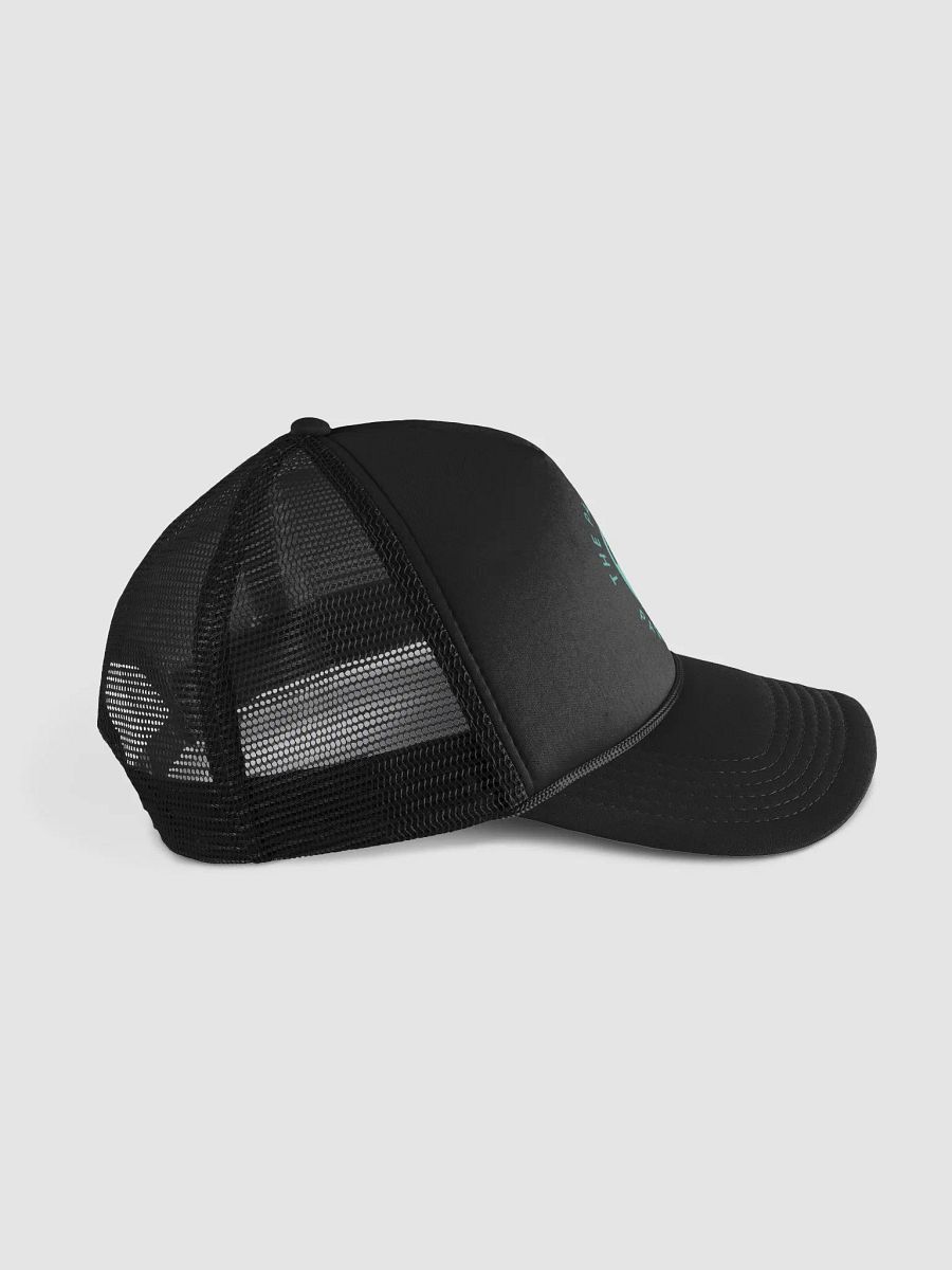 The Official Passionate Pawedcast Cap product image (3)
