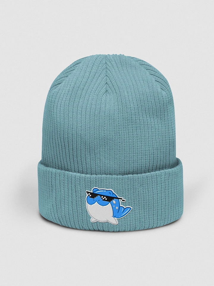 Spheal With It - Embroidered Beanie product image (11)