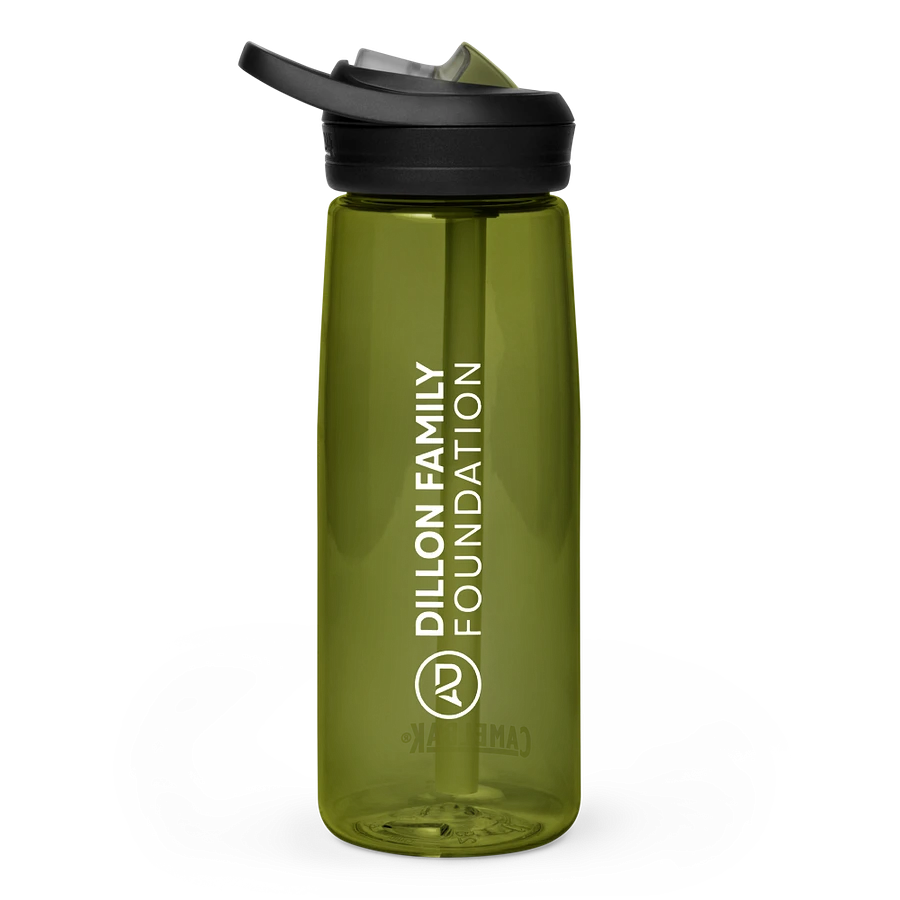 Dillon Family Foundation Water Bottle product image (1)