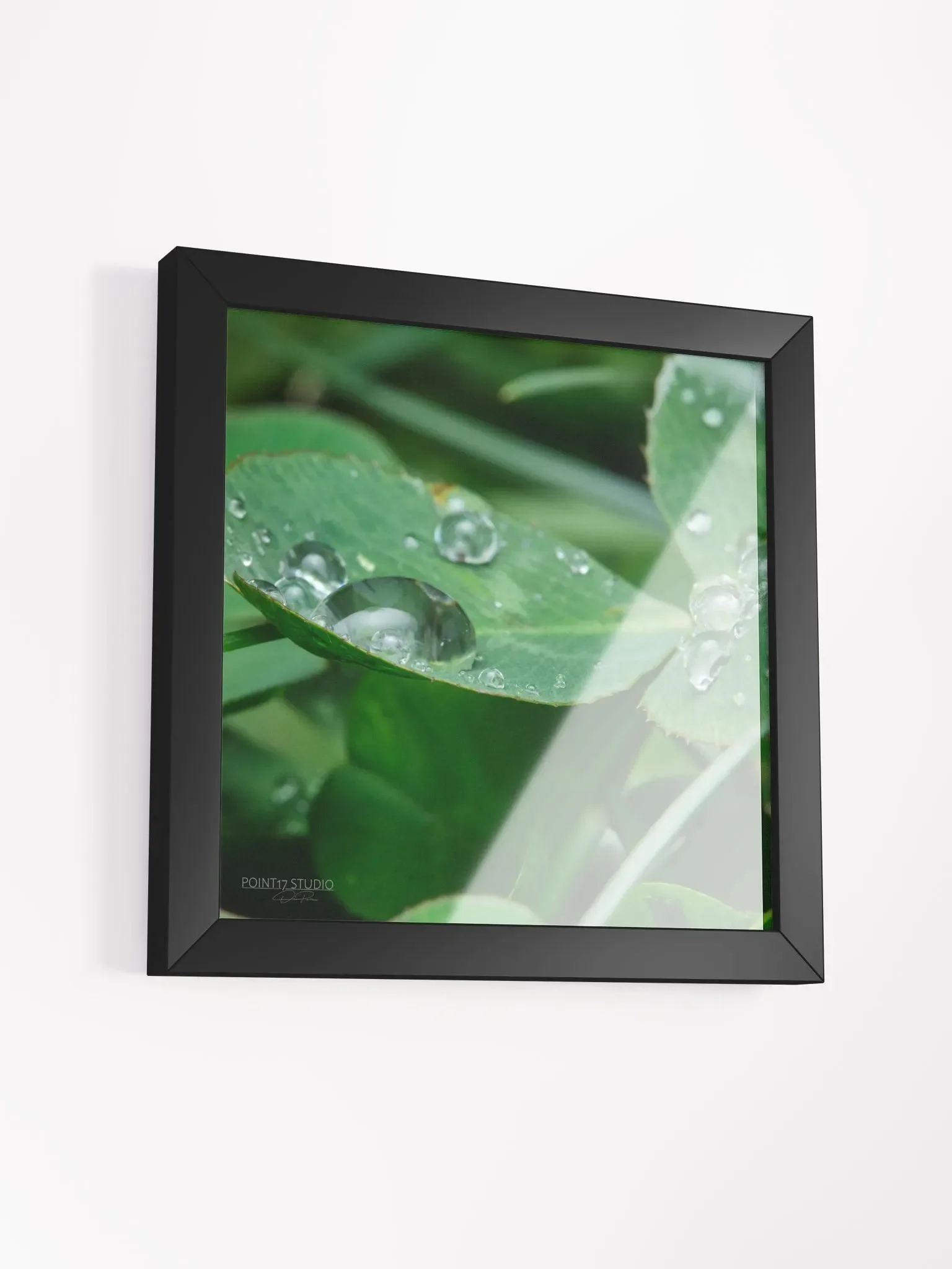Dew Gems #8 - Framed Print product image (3)