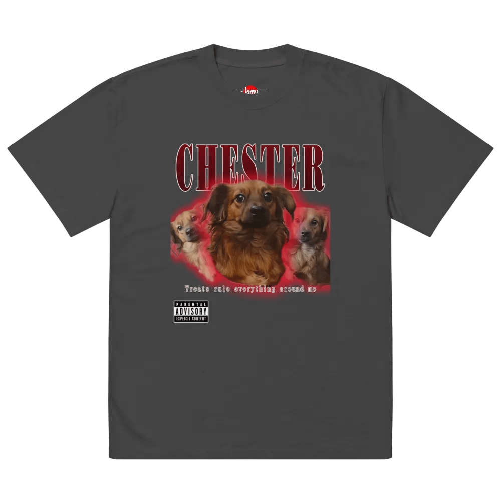 Chester Hip Hop Premium Oversized Faded T-Shirt product image (3)
