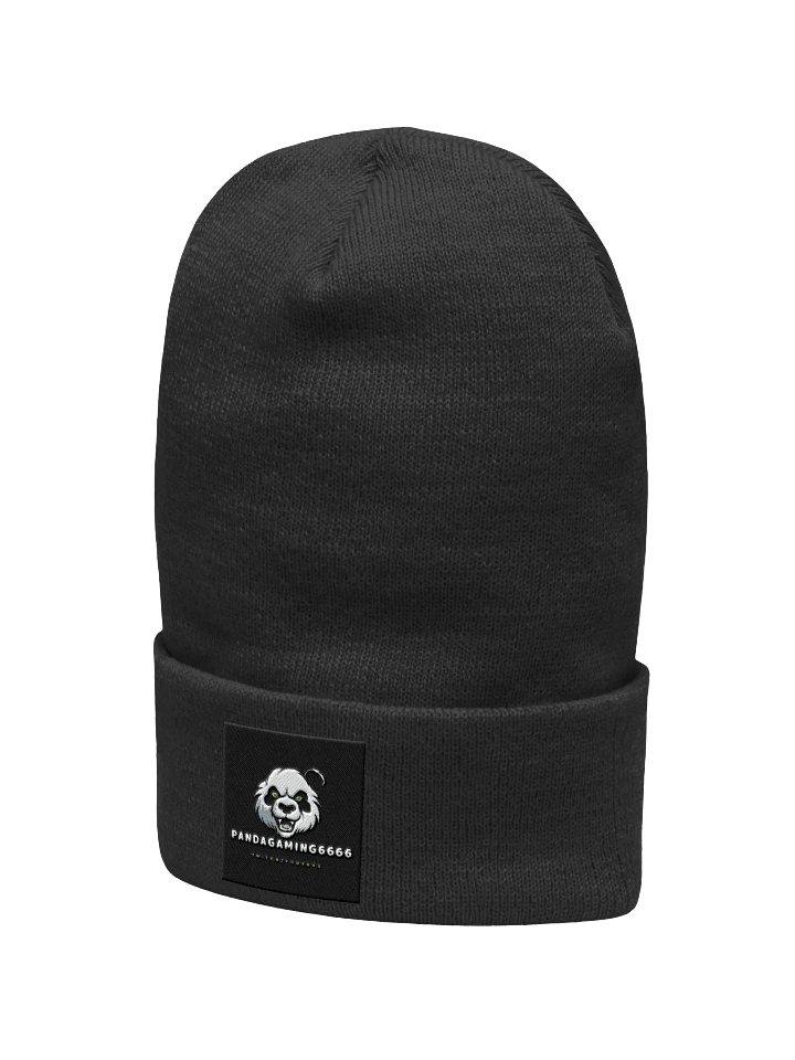 Panda hat product image (2)