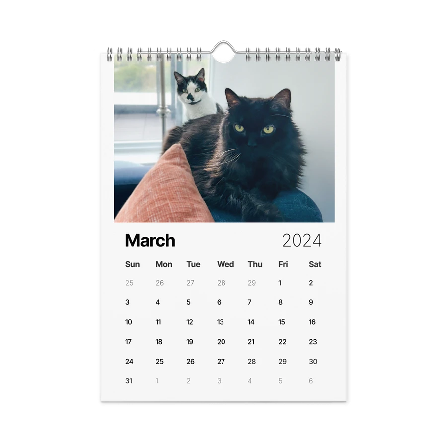 The 2024 ShoKo Cat Calendar product image (13)