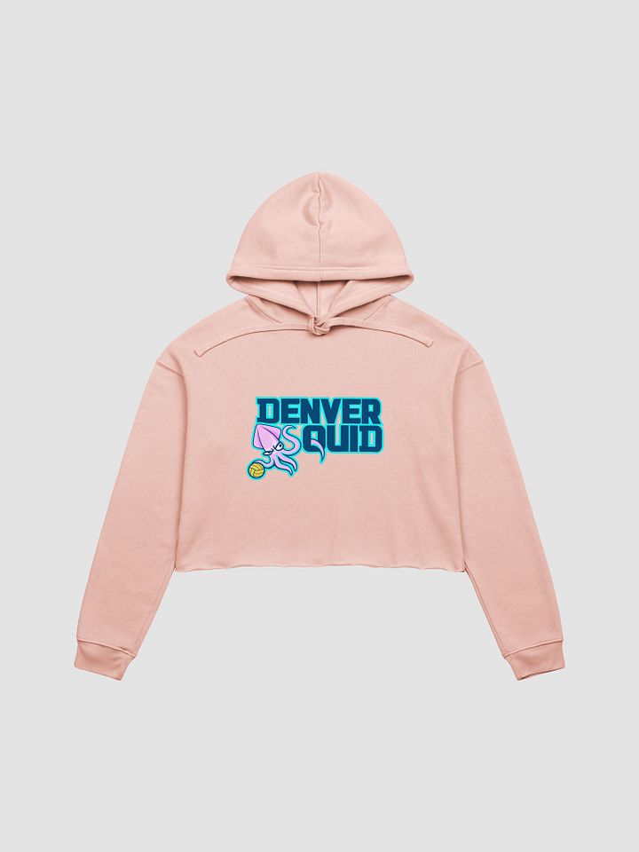 Crop Hoodie - POLO product image (1)