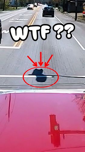 Brains suggested but NOT mandatory 👀🤦‍♂️😁👏🤷‍♂️#reels #reel #reelsinstagram #dashcam #nj #truckdriver #commentary #driving #fu...
