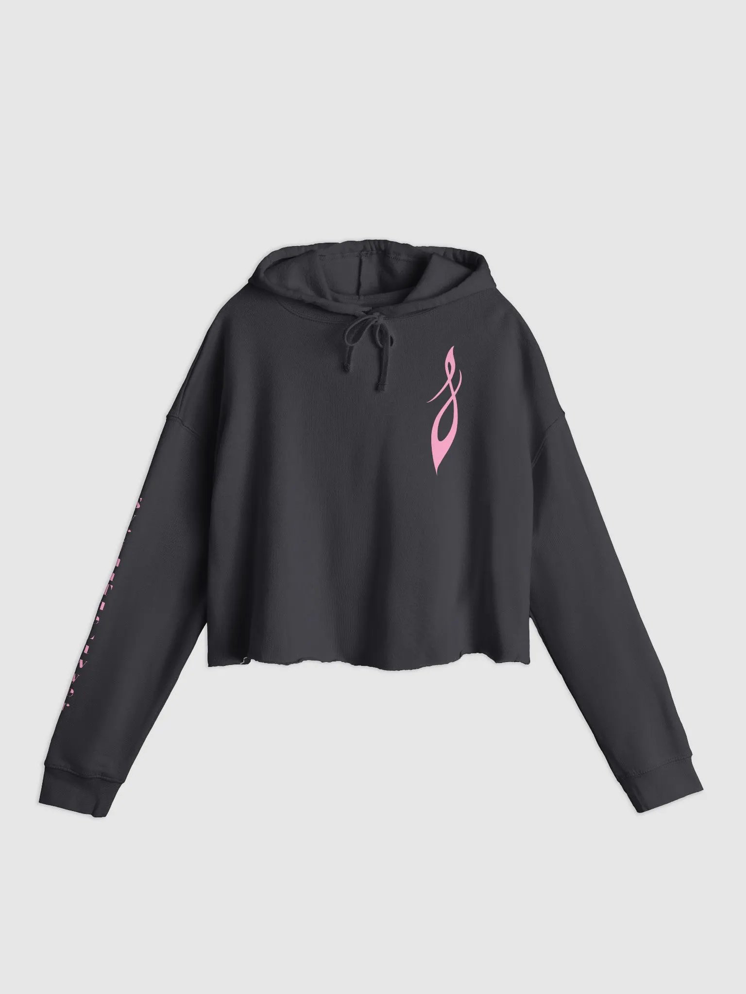 Classic Logo Cropped Hoodie product image (2)
