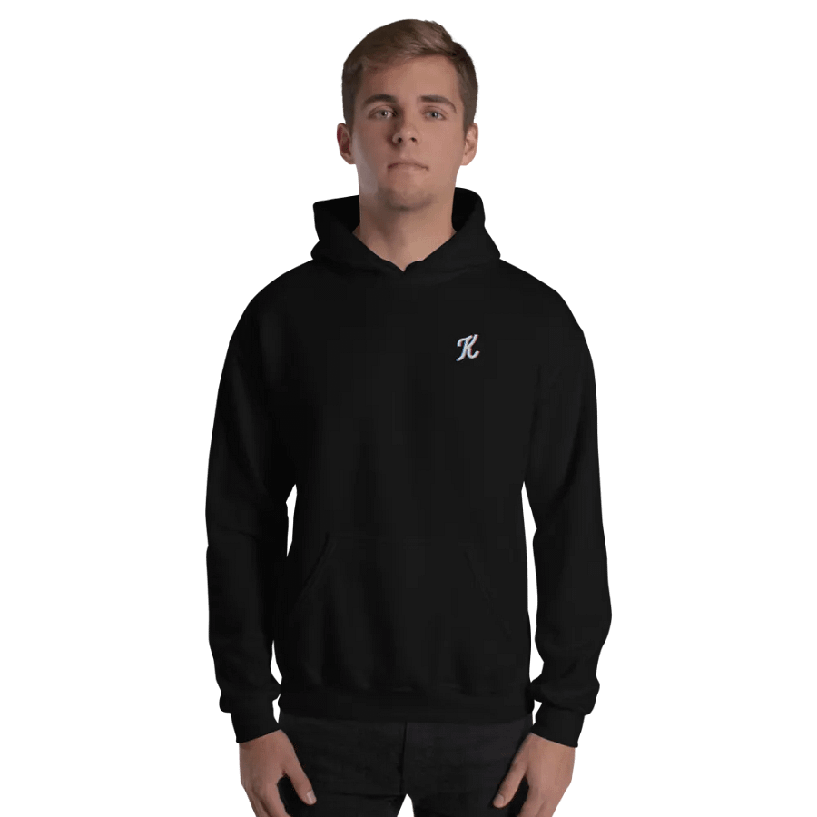 Embroidered Hoodie product image (10)