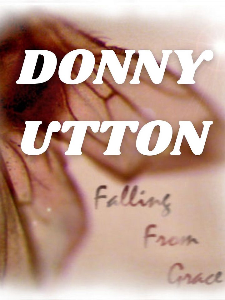 Falling From Grace - (2008) Digital Download product image (1)