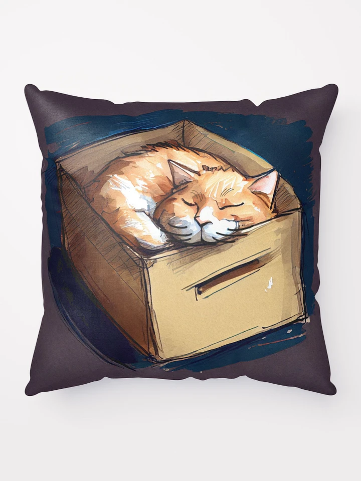 Kitty In A Box - Ginger Cat Throw Pillow product image (1)