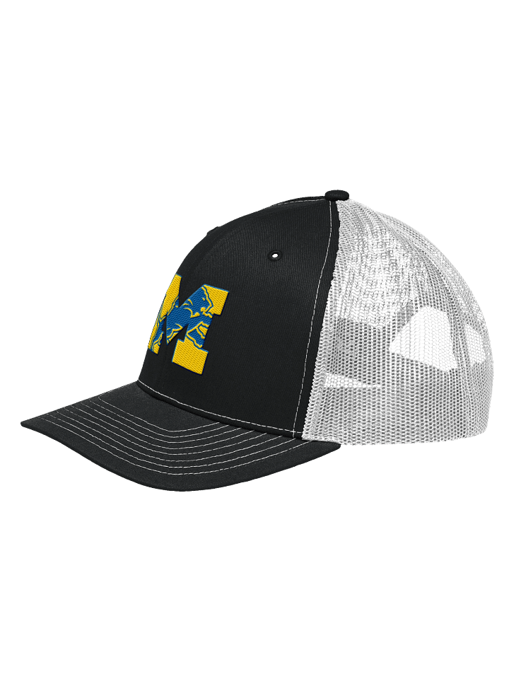 Michigan Lions Trucker product image (38)