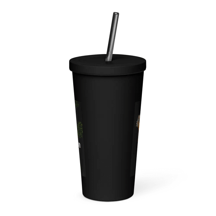 The BS product image (2)
