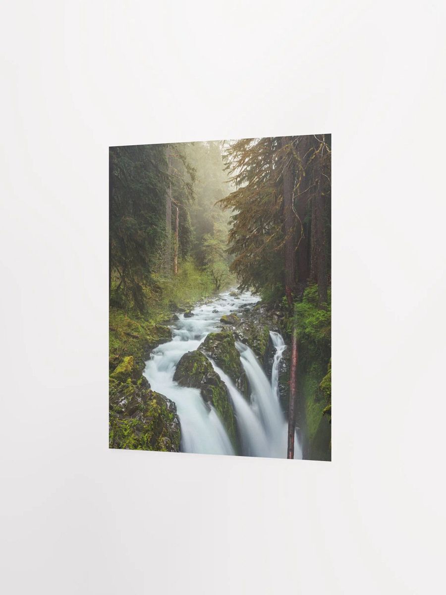 "Enchanted Forest" - 8x10 Matte Print product image (3)