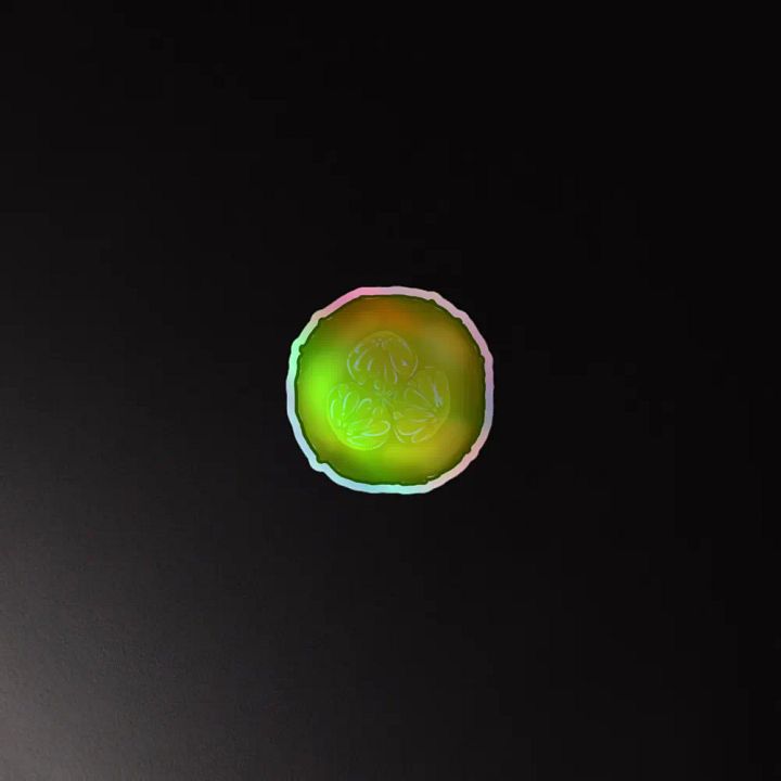 Pickle Slice HOLO product image (4)