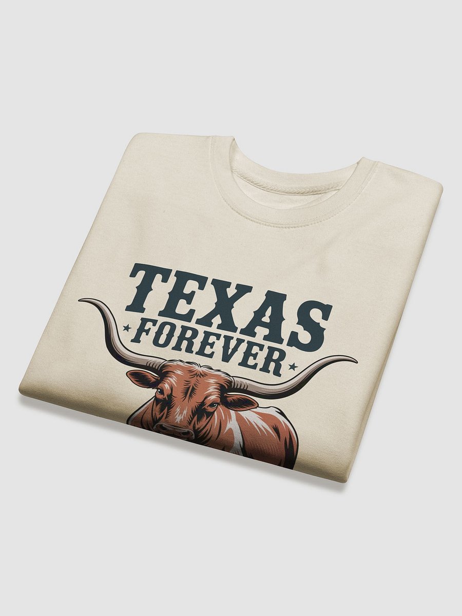Texas Forever Sweater product image (31)