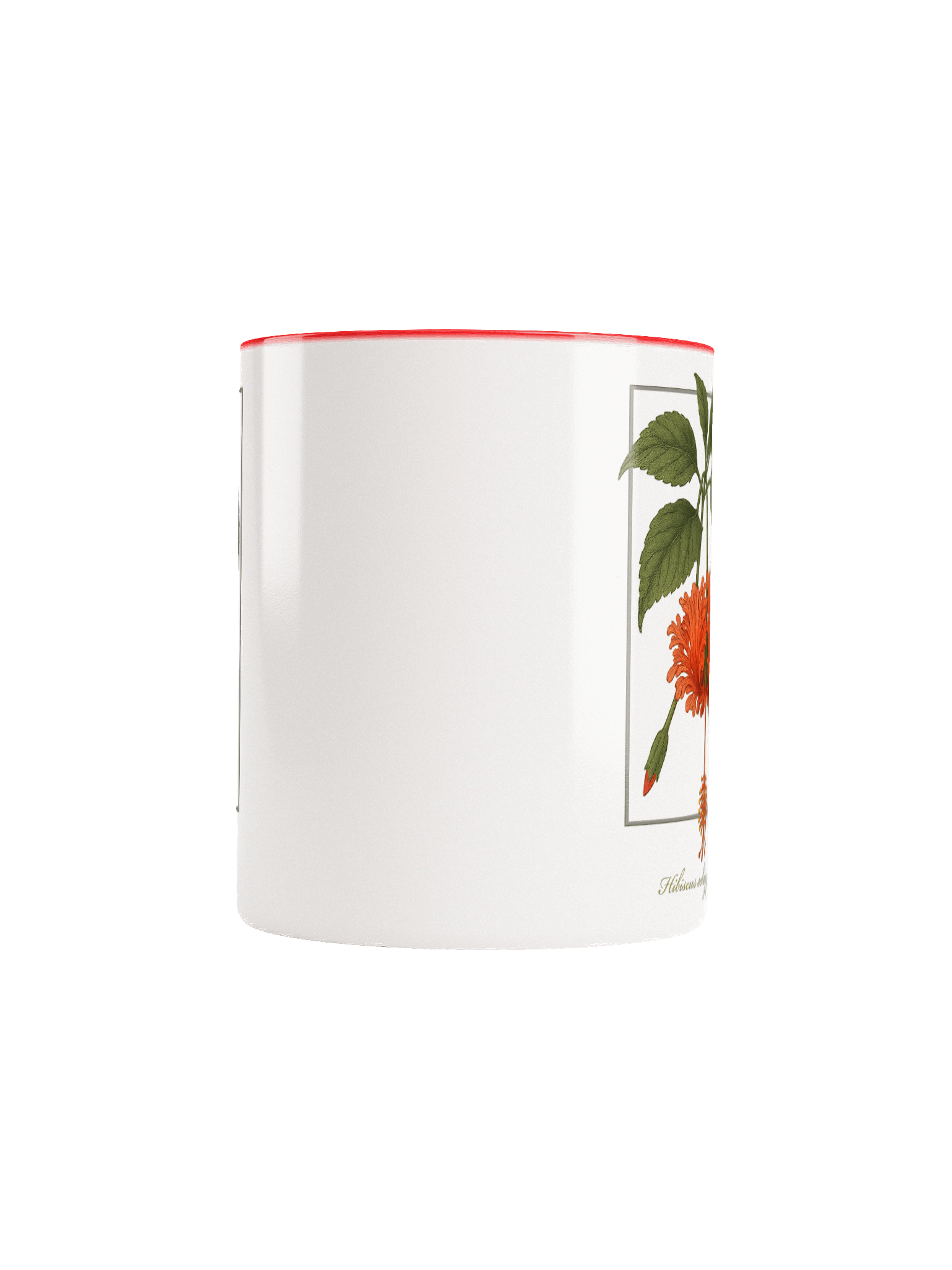 Hibiscus schizopetalus Flower - mug product image (9)