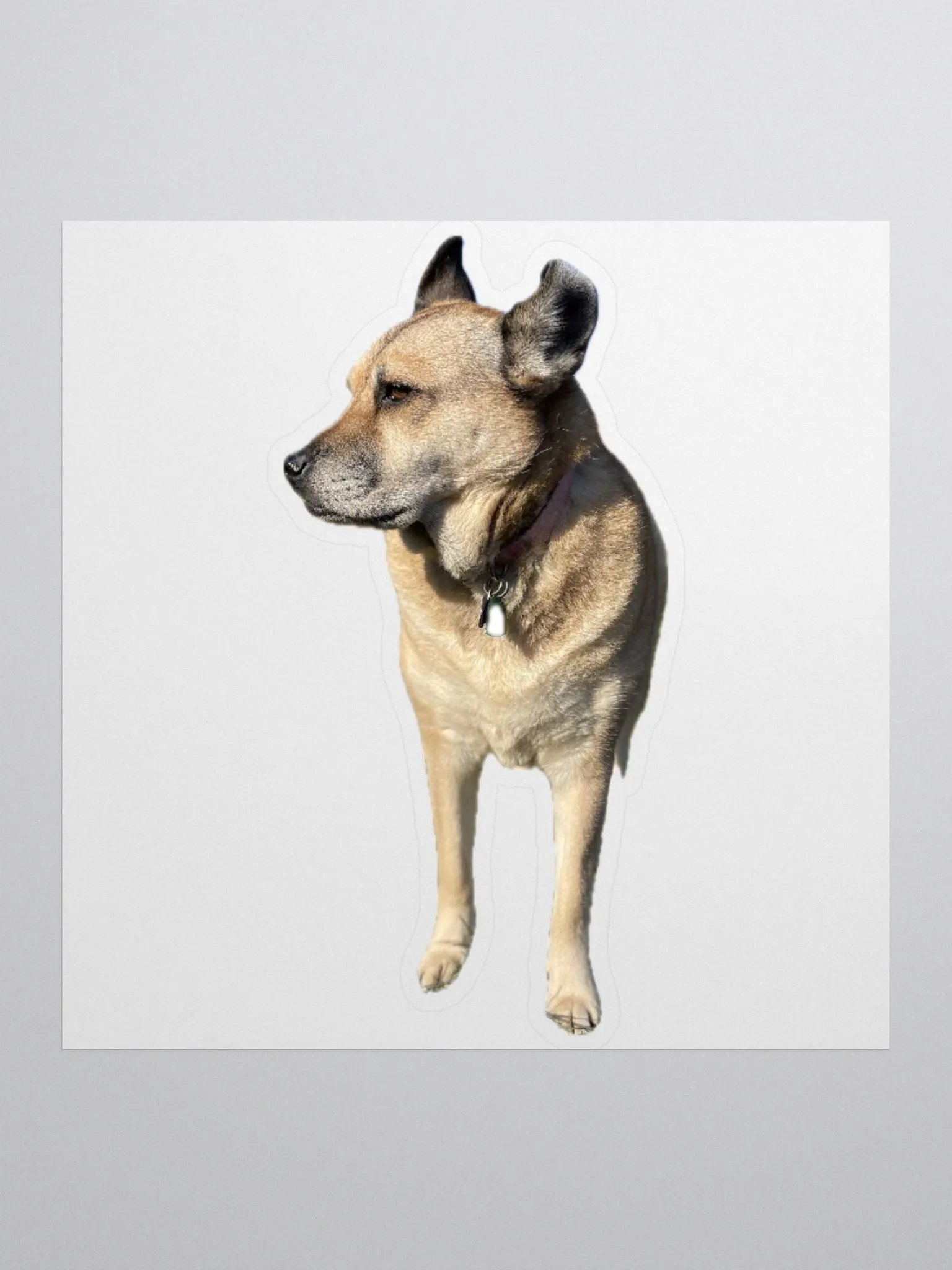 Brinlee sticker product image (1)