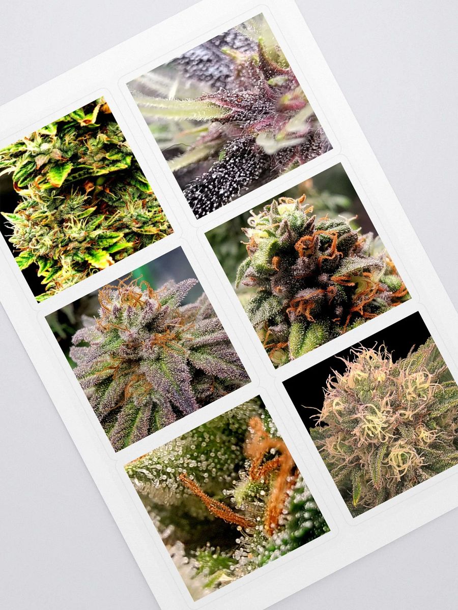 Crop Stickers product image (1)