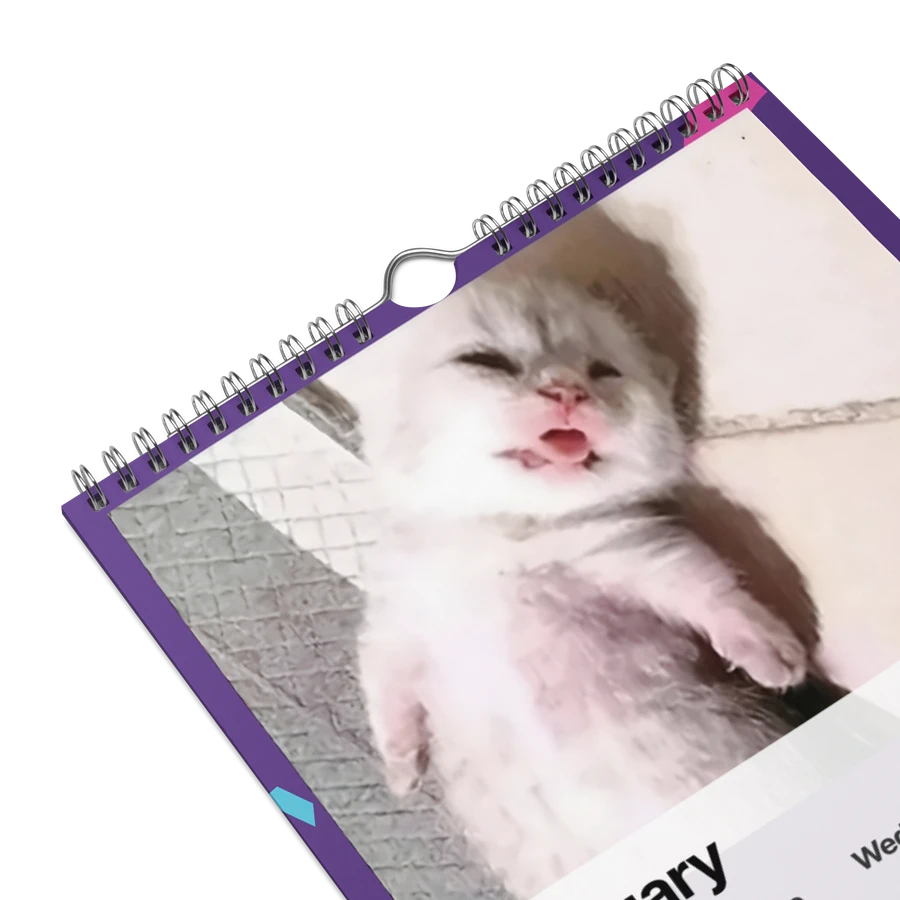 Wall Calendar (2024): Meme Cats product image (9)