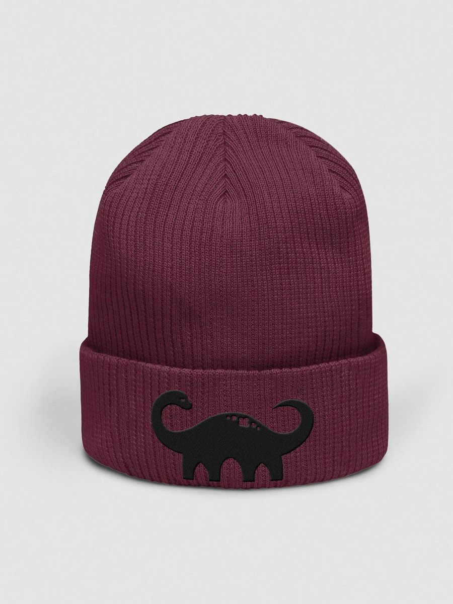 Flam's Dino Beanie product image (5)