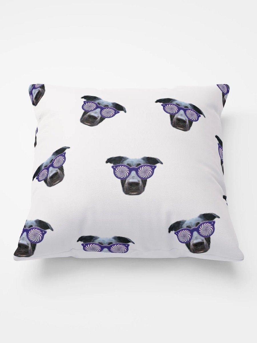 XraySnerb Pillow product image (2)