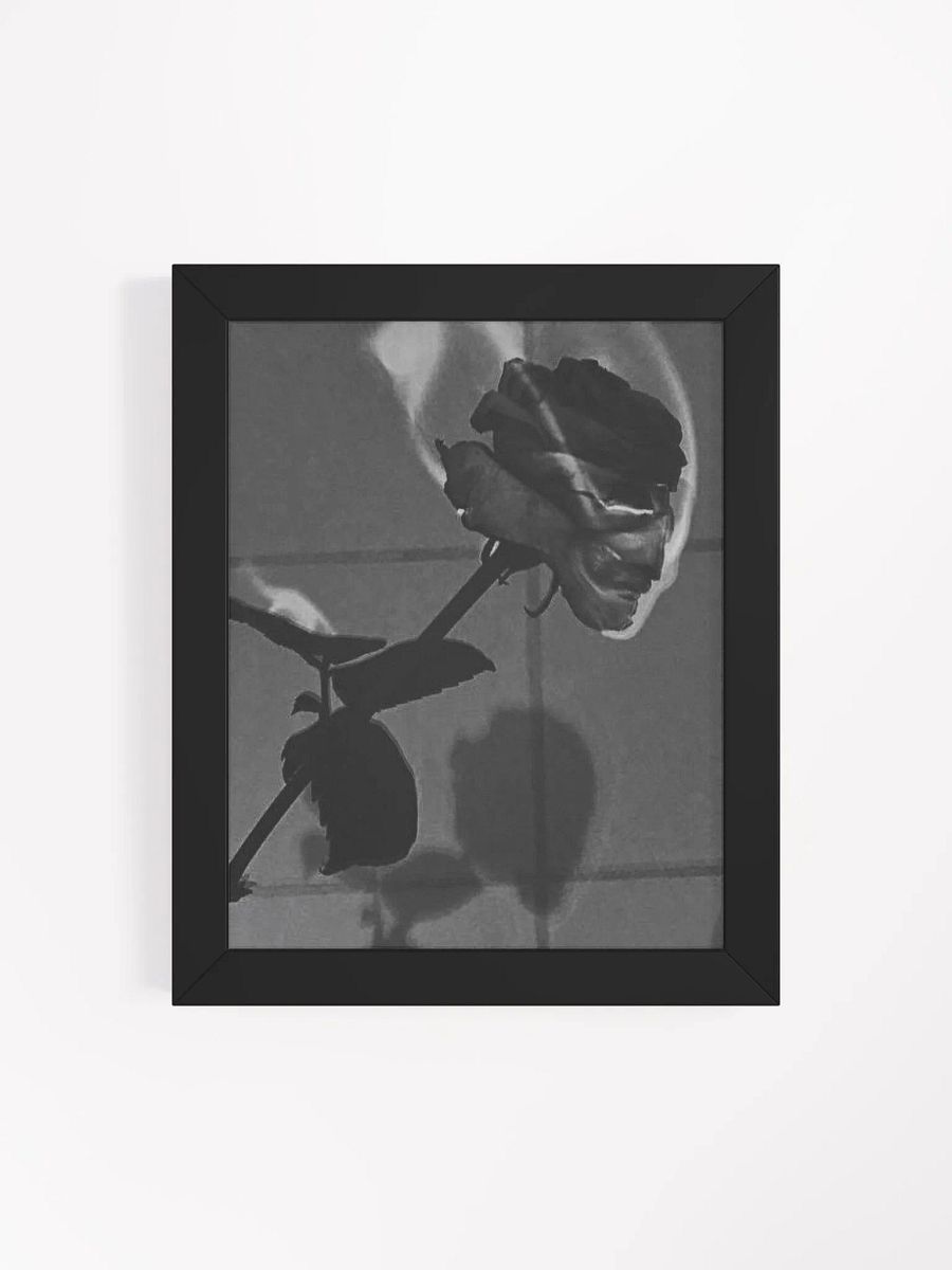 ROSE product image (4)